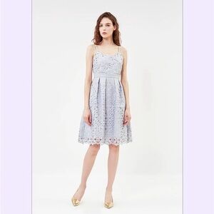 Elegant Lace A-Line Dress